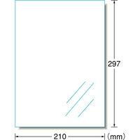 エーワン（A-one）ラベルシール 透明フィルム きれいにはがせる インクジェット シール A4 透明 ノーカット 5シート 29289×2袋