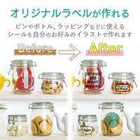 エレコム 手作りステッカー 強粘着 ハガキ 透明 EDT-STHSC3