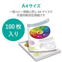 エレコム ビジネス用マット紙 インクジェット・レーザー・コピー対応 A4 薄手 片面 100枚入 EJK-MHA4100 1個