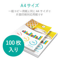 エレコム スーパーファイン紙 高画質用 厚手 片面 A4 100枚 EJK-SAPA4100 1パック(100枚入)（直送品）
