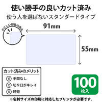 エレコム カット済み名刺用紙 マルチプリント紙 特殊 100枚 白 角丸 MT-JMC2RWN 1個