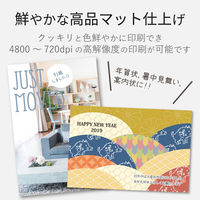 エレコム インクジェット用ハガキ 増量 スーパーファイン紙 EJH-SH100 1袋（100枚入）（直送品）