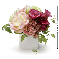 プリマ ピオニーピンク PRAS-0270 プリマ（直送品）