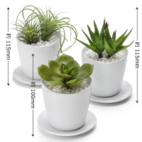 プリマ 多肉植物 皿付きベース 3個セット PRAS-0280 1セット（3個：3種×1個ずつ） プリマ（直送品）