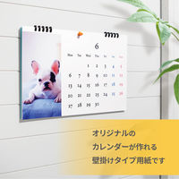 エレコム 手作りカレンダーキット インクジェット フォト光沢紙 壁掛けタイプ A4横 EDT-CALA4WK 1個