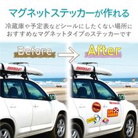 エレコム ステッカーラベル/マグネット/A4/ホワイト EDT-STMGW（直送品）