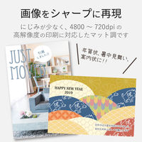 エレコム 料金別納ハガキ スーパーファイン紙(100枚入) EJH-BH100 1個（直送品）