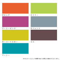 カラーワークス MAGNETPAINTセット マーシー 3020（直送品）