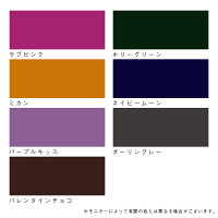 カラーワークス KAKERU PAINTセット ラブピンク 3030（直送品）