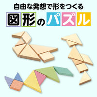 アーテック 木製組み合わせパズル 2450 1セット(2個)