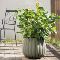 タカショー バルジ 小 ライトグレー FCS-08SR 1台（直送品）