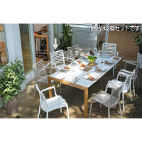 タカショー サンデーアームチェア ホワイト GRS-AC16W/2S 2脚セット（直送品）