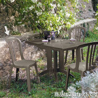 タカショー ビストロ チェア トープ GRS-C06T/2S 2脚セット（直送品）