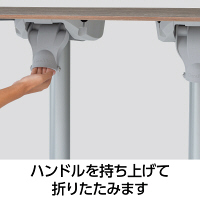 タカショー エコフィックス テーブル120x80 ムーングレー 幅1200×奥行800×高さ720mm GRS-T09MG 1台（直送品）