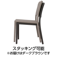 タカショー 庭座 シンプルチェア ダークブラウン KFB-1104 1脚（直送品）
