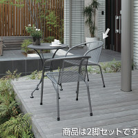 タカショー ルーフェル チェア SSN-C01/2S 2脚セット（直送品）