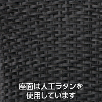 タカショー サレノス チェア モカ SSN-C05M 1脚（直送品）