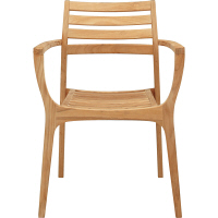 タカショー ロータス アームチェア TRD-074C 1脚（直送品）