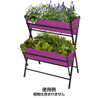 タカショー ベジトラグ ポピー 2ステップス パープル VGT-P2H02（直送品）