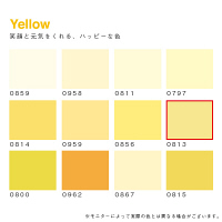 カラーワークス 屋外用ペイント DCペイント ガーデン ガロン 0813 3.8L（直送品）