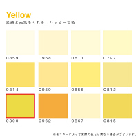 カラーワークス 室内壁用ペイント DCペイント ルーム クォート 0800 0.9L（直送品）