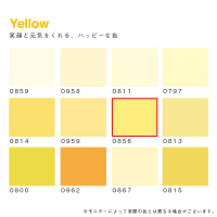 カラーワークス 室内壁用ペイント DCペイント ルーム クォート 0856 0.9L（直送品）