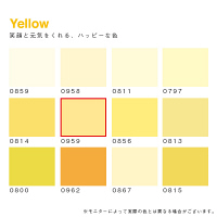 カラーワークス 室内壁用ペイント DCペイント ルーム クォート 0959 0.9L（直送品）