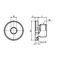 鍋屋バイテック フランジ付き六角穴付きスクリュープラグ SFMS-M6（直送品）