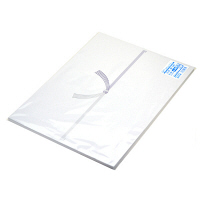 ササガワ OA対応のし紙(熨斗紙) B4判 蓮柄なし 京 2-614 1セット(1冊(100枚)×5)