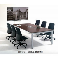 【組立設置込】プラス FV会議テーブル マホガニー天板×シルバー脚 幅2000×奥行1200×高さ720mm FV-2012M MH/M4 1台（直送品）