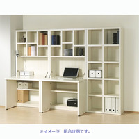 フナモコNEW LATTICE（ニューラチス/ライティングデスク）レベッカオーク幅891×奥行334（734）×高さ1800mm FDR-89D 1台（直送品）