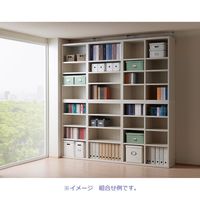 【軒先渡し】フナモコ LIVING SHELF  オープン板戸　 ホワイトウッド 幅600×奥行367×高さ1138mm LFS-60 1台（直送品）