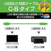 エレコム USB2.0ケーブル/認証品/3A出力 Type-Cオス-Standard-Bオス ブラック 1.0m U2C-CB10NBK 1個