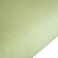 【車上渡し】AMOCC（アモック） カジュチェア ウォルナット無垢 ライトグリーン CK202（WN）-A83LG 1脚（直送品）