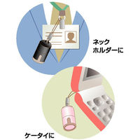 シヤチハタ プチネーム （メールオーダー式） ペールブルー XL-P1/MO