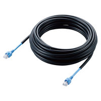 LANケーブル 10m cat5e 屋外対応 単線 黒 LD-VAPFR/BK10 エレコム 1個