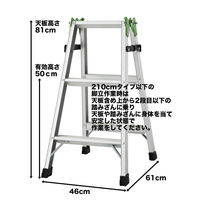 長谷川工業 エコはしご兼用脚立 エコマーク認定脚立 3段 ESA2.0-09 1台