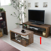 B.Bファニシング SAND（サンド） テレビ台 ブラウン 幅1200×奥行400×高さ390mm SNTB-120BR 1台（直送品）
