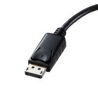 サンワサプライ DisplayPort-HDMI 変換アダプタ AD-DPPHD01 1個（直送品）