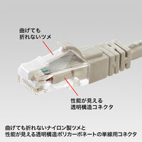 サンワサプライ ツメ折れ防止カテゴリ6RJ-45コネクタ ADT-6RJTS-10 1セット(10個入)