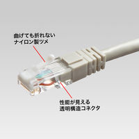 サンワサプライ ツメ折れ防止カテゴリ5eRJ-45コネクタ ADT-RJ45TS-10 1セット(10個)