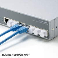 サンワサプライ RJ-45ダストカバー ADT-RJDST2 1セット(10個入)