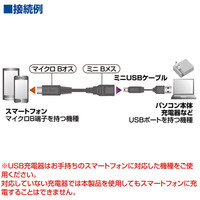サンワサプライ マイクロUSB変換アダプタ（MicroBオス-ミニBメス） AD-USB17 1個（直送品）