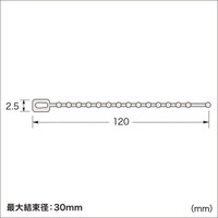 サンワサプライ ケーブルタイ CA-608N 1個（直送品）