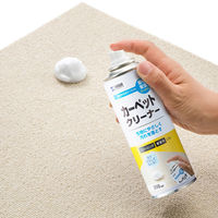 サンワサプライ カーペットクリーナー CD-106 1個（直送品）