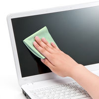 サンワサプライ クリーニングクロス CD-CC2GN 1個