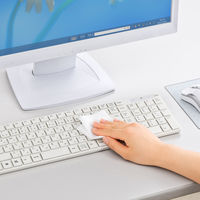 サンワサプライ ウェットティッシュ(パソコン用) CD-WT1KS 1個