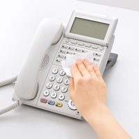 サンワサプライ ウェットティッシュ(除菌用) CD-WT9KL 1個