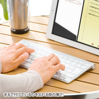 サンワサプライ キーボードマルチカバー(シャワーキャップタイプ、小サイズ、3枚セッ FA-CAPSET2 1セット(3枚入)（直送品）