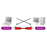 サンワサプライ UTPエンハンスドカテゴリ5ハイグレード単線クロスケーブル KB-10T5-10CN 1個